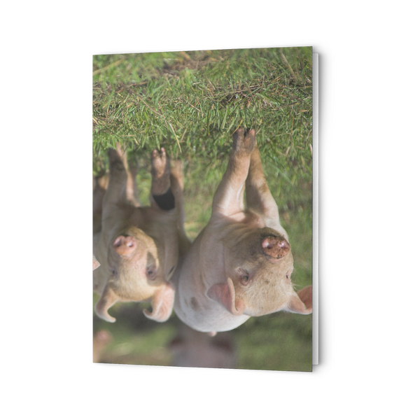 folded card hrizontal test new 2