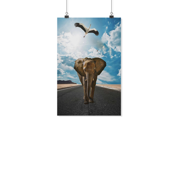 test poster - elephant - test image order