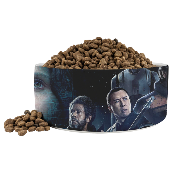 test dog bowl 20190404 e