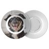 Dinner bowl test w/dog
