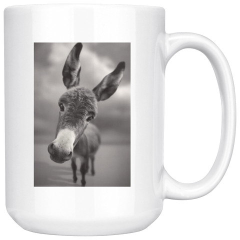 t1 nad 2 test 11oz white mug