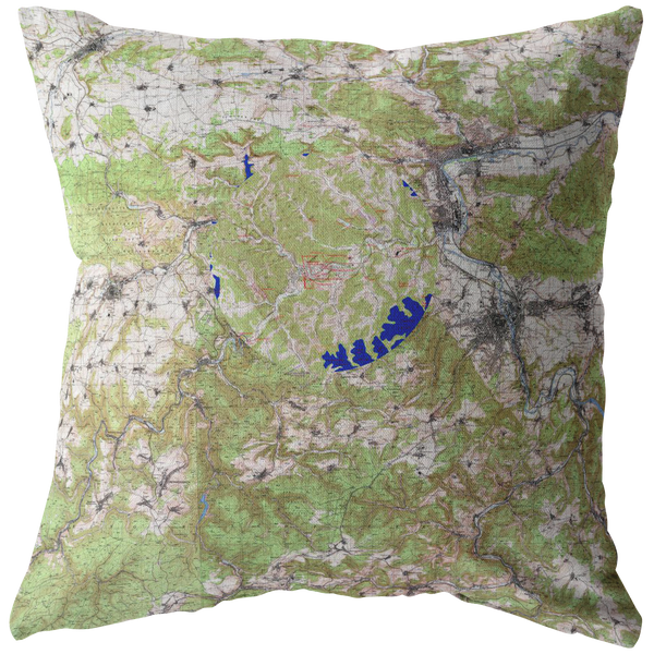 Map Pillow (order this one)