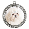 Puppy bracelet