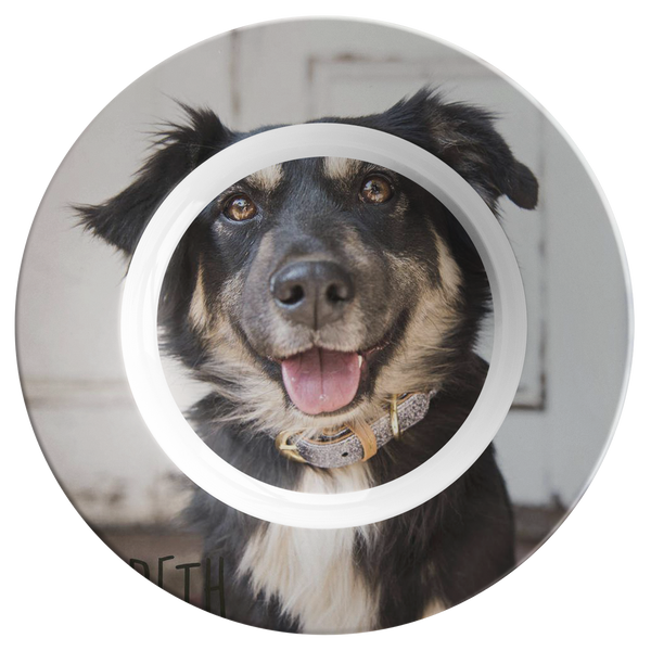 Dinner bowl test w/dog