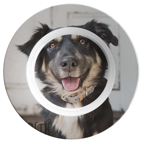 Dinner bowl test w/dog