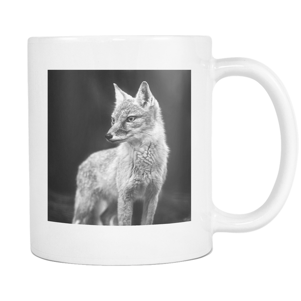 test 12.3.19 multimug 2