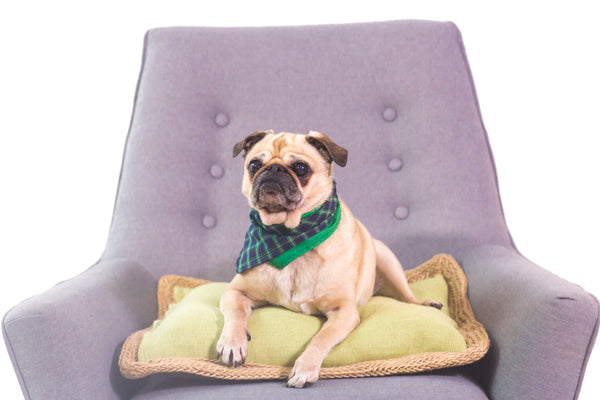 Progressive Secured Fantastic Concrete Shoes