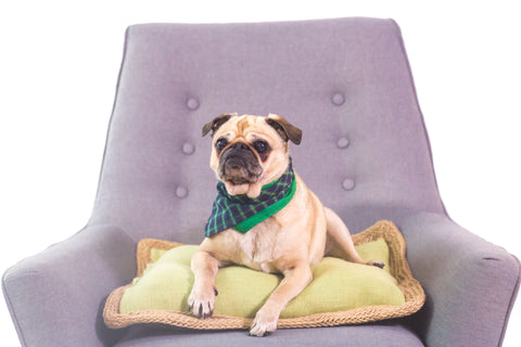 Progressive Secured Fantastic Concrete Shoes