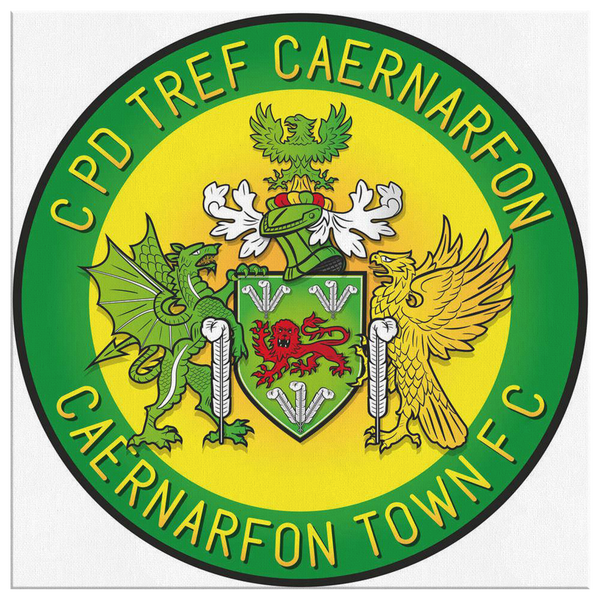 canvas square option 1 test