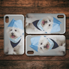 10.2.19 test iphone case 2