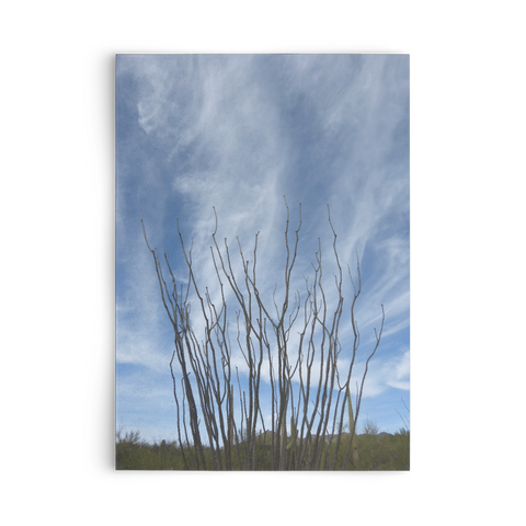 flat card test vertical - tracie