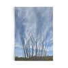 flat card test vertical - tracie