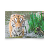 flat card horizontal test new 2