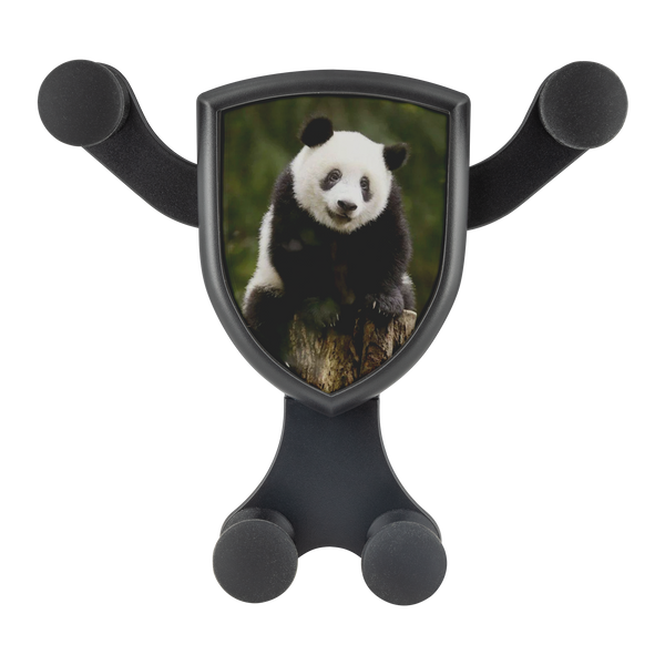 test car charger panda 20190708