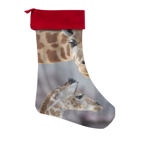giraffe stocking