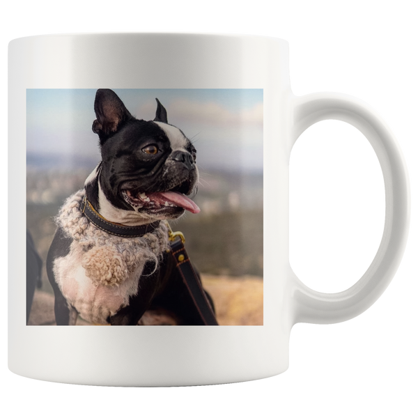 test 12.4.19 multimug 2