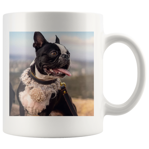 test 12.4.19 multimug 2