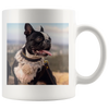 test 12.4.19 multimug 2