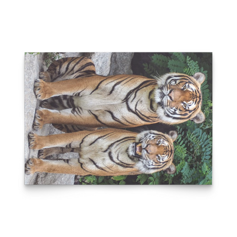 tiger vertical flat card