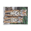 tiger vertical flat card