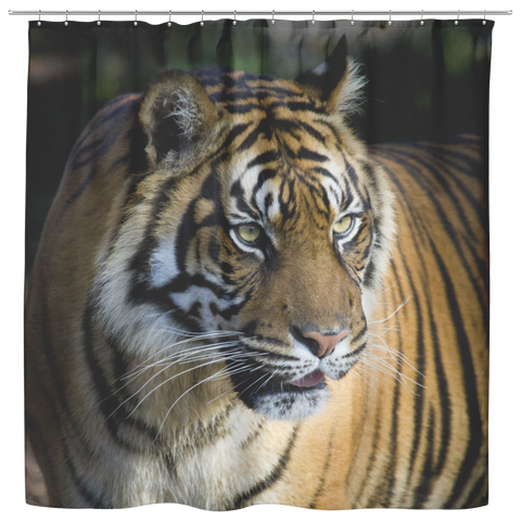 test shower curtain - tiger