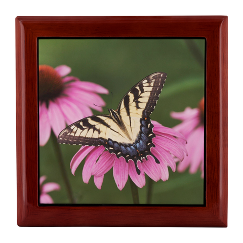 butterfly jewelry box test