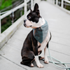 Test pet bando incorrect image size - 1 - 5.17.19