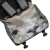 backpack test 15