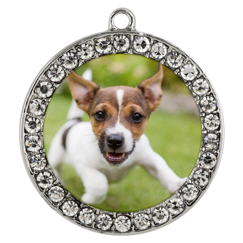 Puppy bracelet