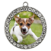 Puppy bracelet