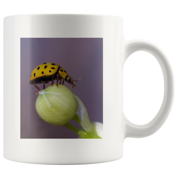 initial page test beer stein