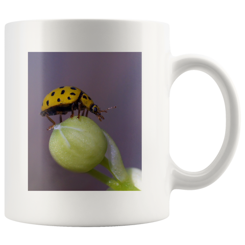 initial page test beer stein