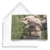 piglets fold card horizontal