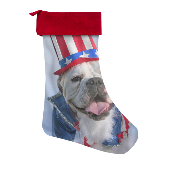 test stocking - dog