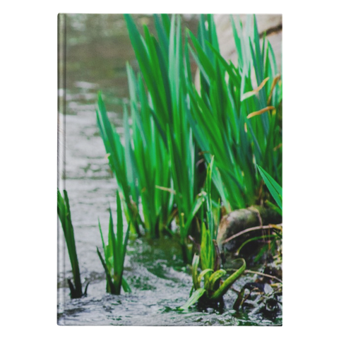 flat card horizontal test