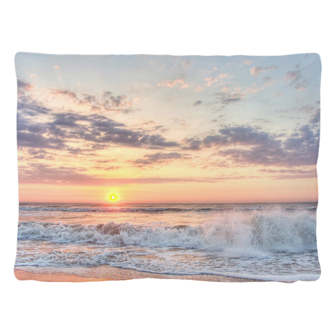 test pet bed - nice images