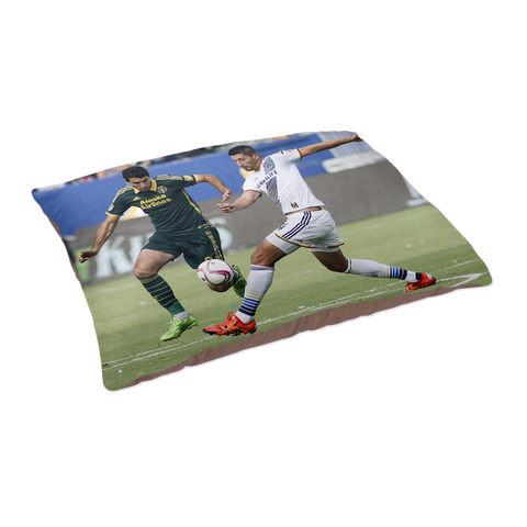 test pet bed - soccer