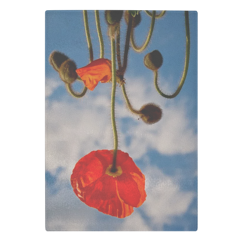 TEST GCB - 1 Vert 6.7.19