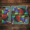 test phone case - bird - models added