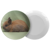test bunny plate