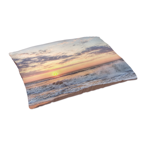 test pet bed - ocean