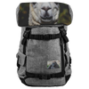 backpack test 18