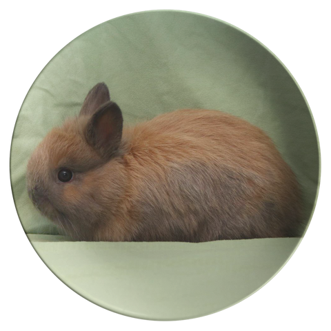 test bunny plate