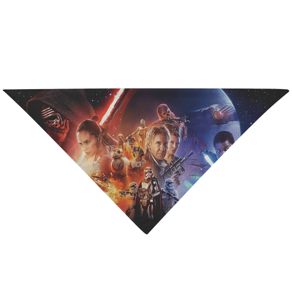 test pet bandana - space