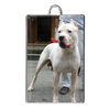 test bracelet - dog, lion, dog