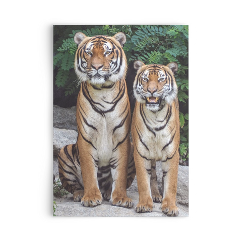 flat card horizontal test new 1