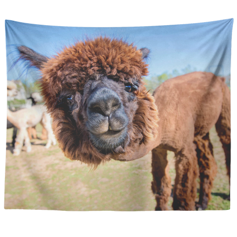 Test Tapestry - Alpaca Face - 20190618