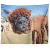 Test Tapestry - Alpaca Face - 20190618